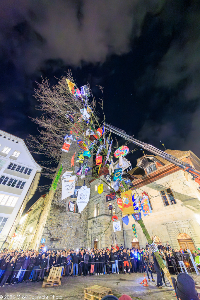 Guuggerbaum; Luzerner Fasnacht 2025